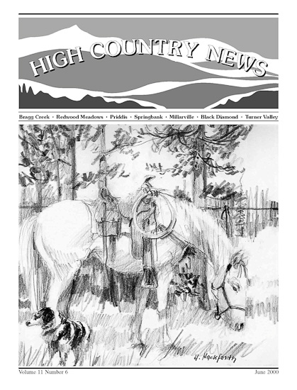 High Country News June 2000