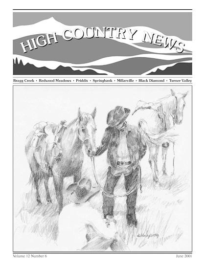 High Country News June 2001