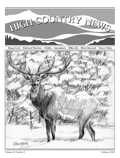 High Country News February 2003