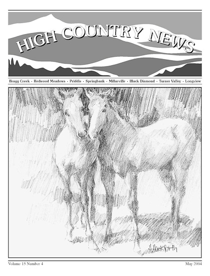 High Country News May 2004