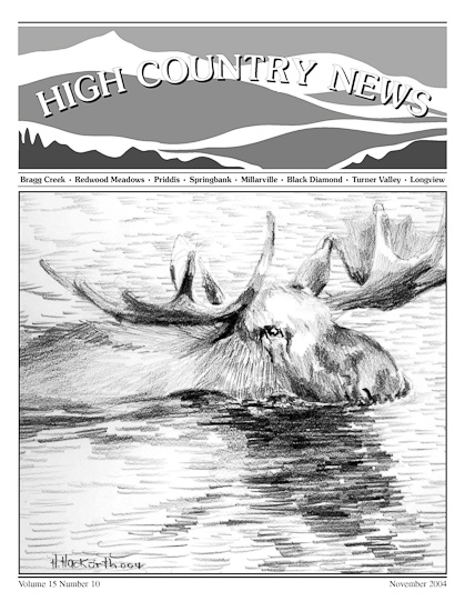 High Country News November 2004