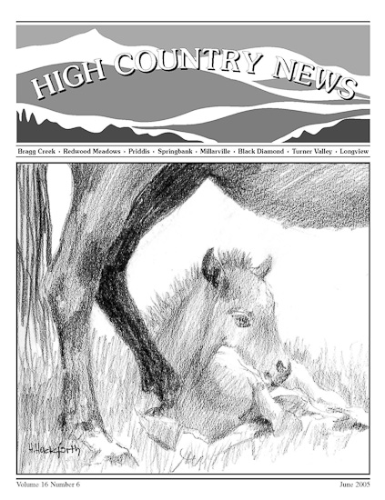 High Country News June 2005