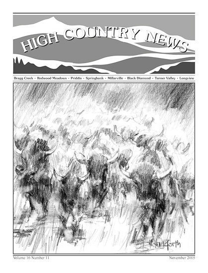 High Country News November 2005