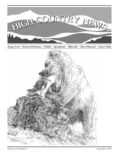 High Country News September 1999