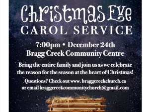 Bring the entire family and join us as we celebrate the reason for the season at the heart of Christmas!