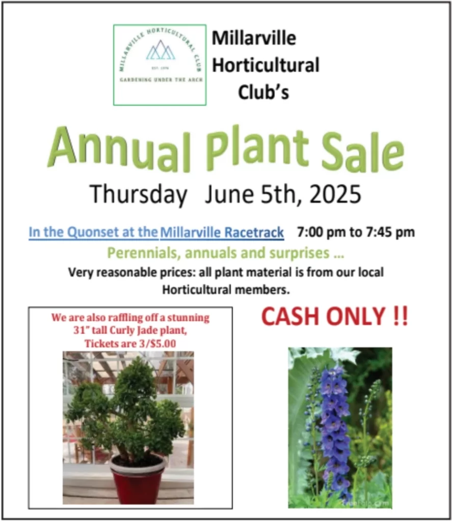 Millarville Horticultural Club’s Thursday June 5th, 2025 In the Quonset at the 7:00 pm to 7:45 pm Perennials, annuals and surprises ... Very reasonable prices: all plant material is from our local Horticultural members. CASH ONLY !! We are also raffling off a stunning 31” tall Curly Jade plant, Tickets are 3/$5.00 Follow us on Plant Donations: Please drop off on Thursday, June 5th from 3-6pm ~ Thank you in advance! Glenda Bruder at 403-620-5509 for more info MillarvilleHortClub.com