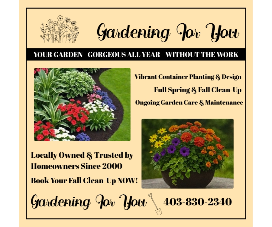 YOUR-GARDEN-GORGEOUS-ALL-YEAR-WITHOUT-THE-WORK-4.65-x-4.5-in-1-300x250-1.webp