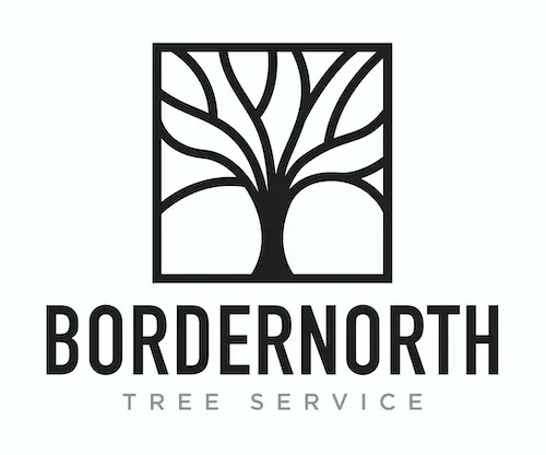 BORDERNORTH TREE SERVICES BORDERNORTH TREE SERVICES