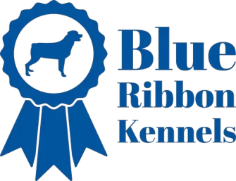 Blue Ribbon Kennels – boarding & training Blue Ribbon Kennels – boarding & training